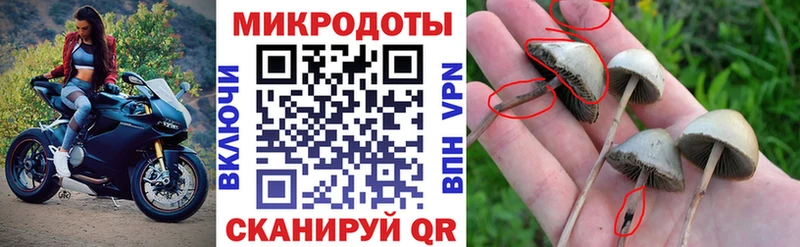 сайты даркнета клад  закладки  Цоци-Юрт  Псилоцибиновые грибы GOLDEN TEACHER 